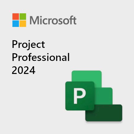 Microsoft Project Professional 2024